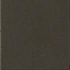 SHASTA BROWN SA497