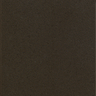 ALLEGHENY AMBER AA493