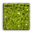 FS164 (Spearmint)