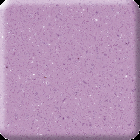 Sweet violet
